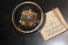 New England Wild Flower Paperweight