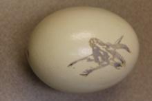 Ostrich Egg