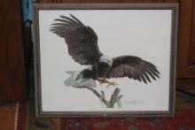 Signed Lithograph of Bald Eagle