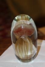 Large Jellyfish Paperweight