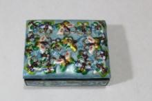 A Chinese Enamel Box