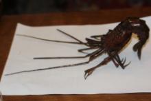 Antique Japanese Copper Crayfish