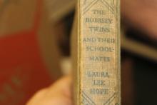 Book: The Bobbsey Twins and Their School Mates