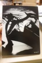 Unframed Nude Photograph