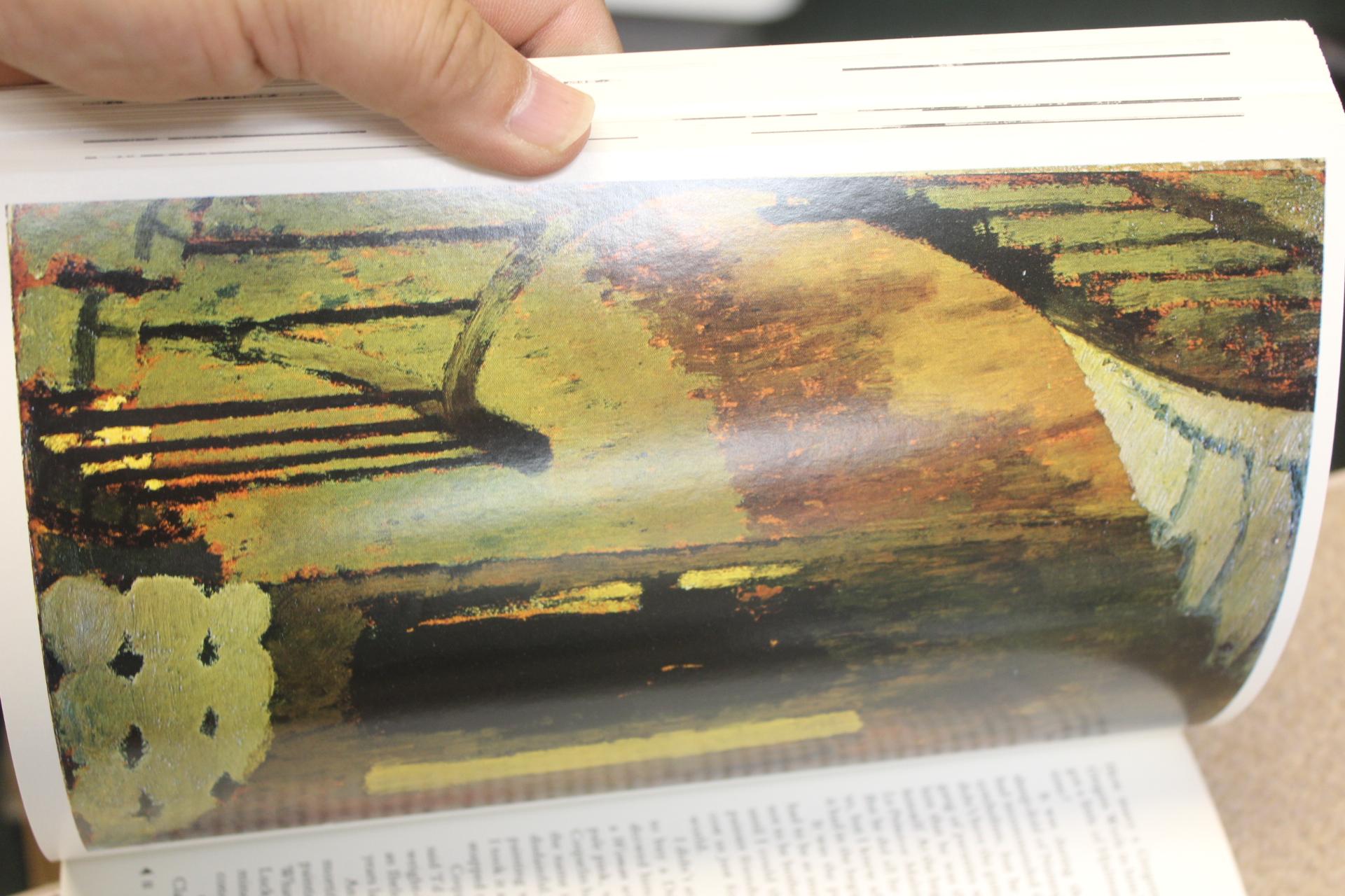 Softcover Book: Edouard Vuillard