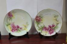 A Pair of Handpainted Floral Plate