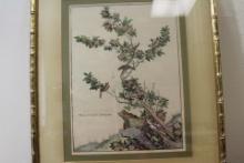 An Oriental Engraving