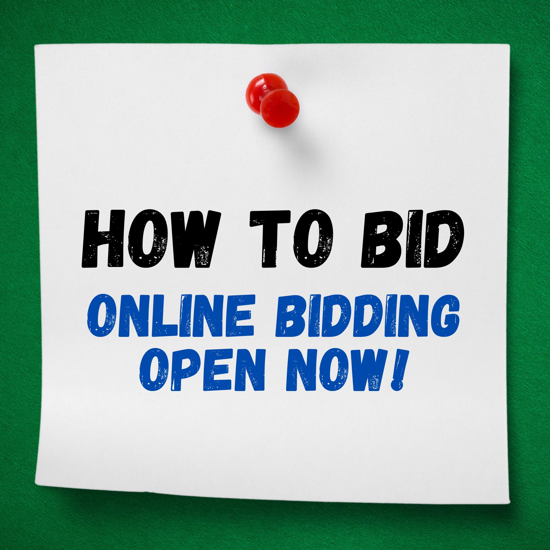 HOW TO GET REGISTERED AND APPROVED TO BID