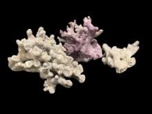 ALCYONACEA SOFT CORRAL CENTERPIECES IN WHITE AND PURPLE