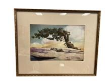VINTAGE JEFFREY PINE TREE AT YOSEMITE NATIONAL PARK HAND COLORED PHOTOGRAPH AFTER ANSEL ADAMS