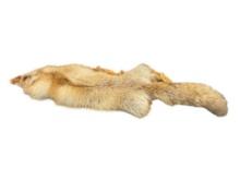 FULL BODY RED FOX PELT TAXIDERMY