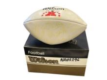 FULL SIZE NFL AFC PRO BOWL PANEL BALL SIGNED BY 2000 AFC PROBOWLERS