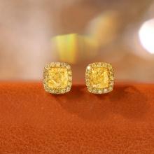 14k Gold 0.98 Ctw Natural Yellow Diamond & Yellow Diamond Earrings