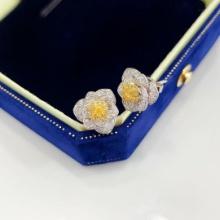 14k Gold 0.48 Ctw Natural Yellow Diamond & Diamond Earrings
