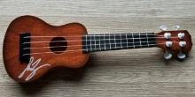 Luke Bryan Signed Mini Guitar With COA