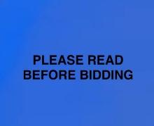PLEASE READ BEFORE BIDDING