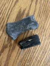 Fossilized Bone