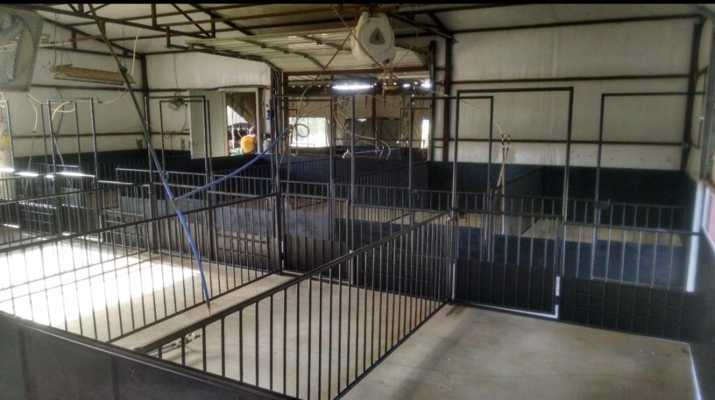 (9) 6'x10' Show Pig Pens with (12) water bowls.