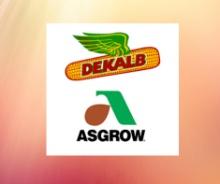 Certificate for 30 bags of Asgrow XtendFlex Soybeans.