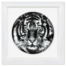 Robert Longo, "Tiger" Framed Limoges Porcelain Plate.
