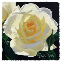 Brian Davis, "Contemporary Master in a Grand Tradition (Deluxe)" Limited Edition Fine Art Book, C...