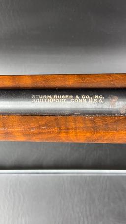 Ruger 10/22 22 Rifle With Mag