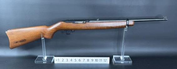 Ruger 10/22 22 Rifle With Mag