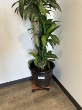 Fake Plant With Roller