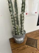 Fake Cactus