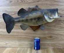 Taxidermy Skin Mount Bass / Fish Vintage #3