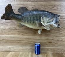 Taxidermy Skin Mount Bass / Fish Vintage #4