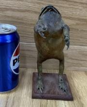 Taxidermy Frog Vintage Oddity