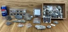 Lot of Fossils - Snails, Fern Plate Etc. See Pictures for details