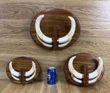Warthog Plaque with Tusk Taxidermy