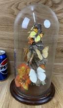 Mounted Taxidermy Butterfly in Glass - Floral Scene #2