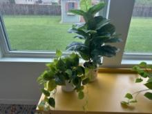 Artificial Potted Plants