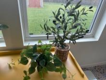Artificial Plants