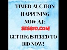TIMED AUCTION STARTING NOW AT: SESBID.COM