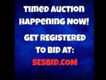 TIMED AUCTION STARTING NOW AT: SESBID.COM