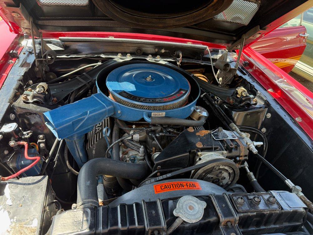1970 FORD SHELBY GT 350