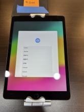 Ipad 9th Gen Celluar & Wifi