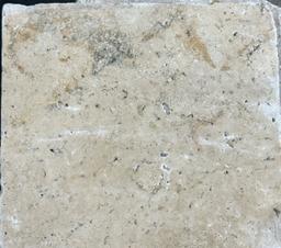 1 Crate 288sf 8"x8" Earthstone