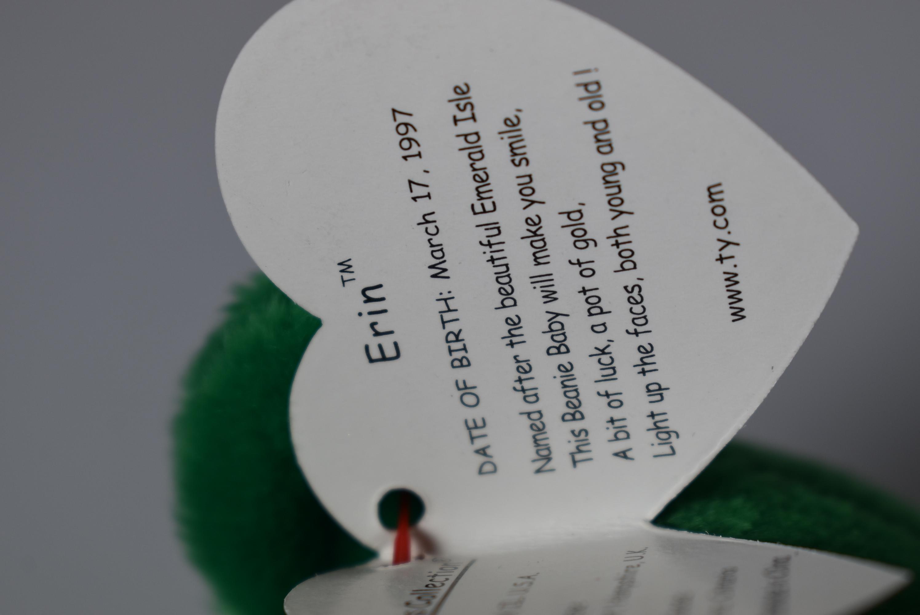 TY ERROR BEAR!! ERIN !!