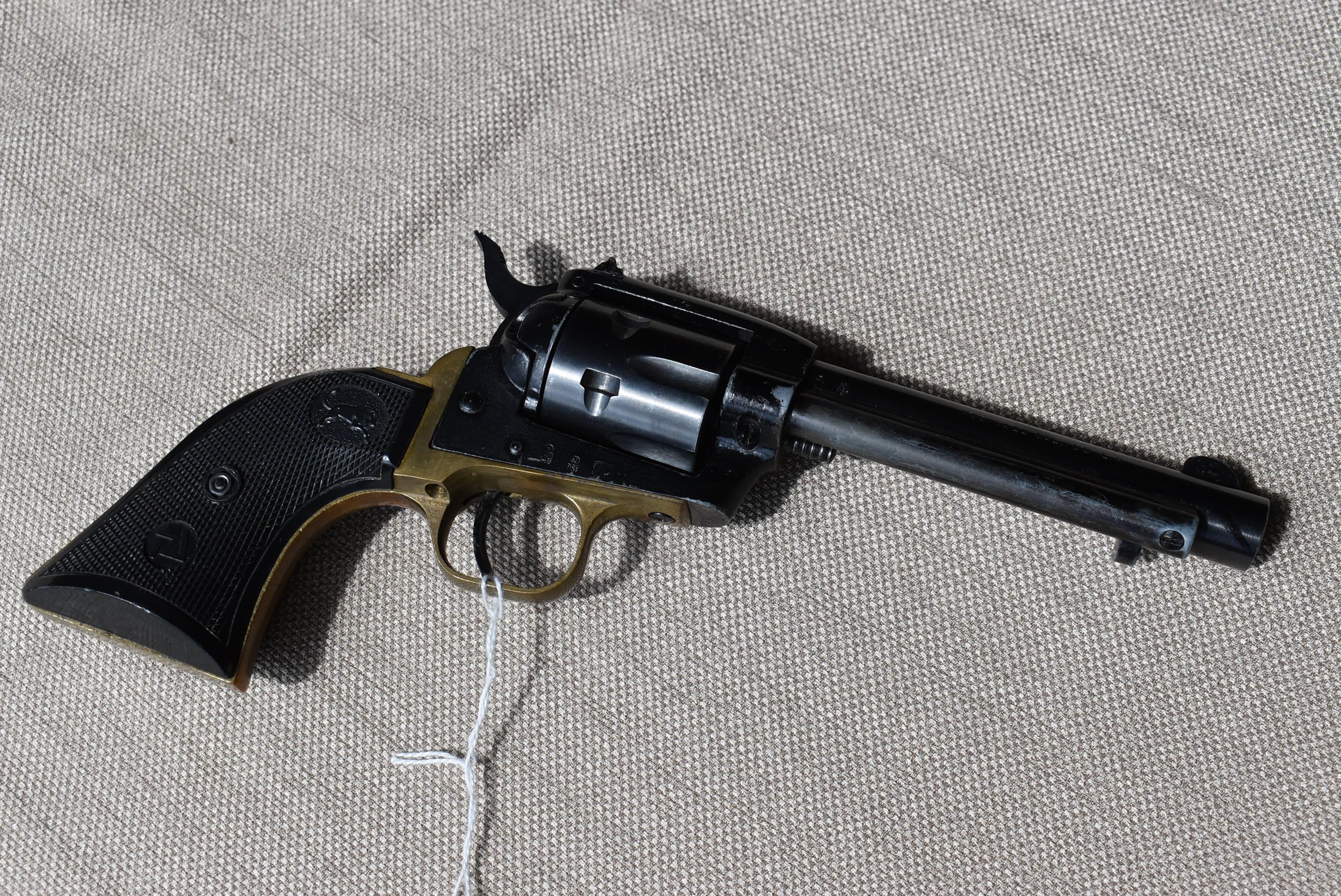 FIREARM/GUN TANFOGLIO TA22 !! H 288