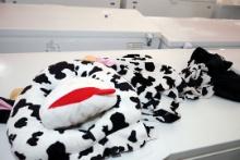 COW COSTUME