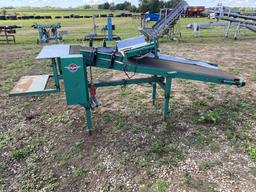 BELT CONVEYOR, 18'' X 7'