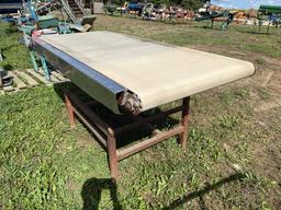 BEI TILT BELT CONVEYOR FOR BLUEBERRIES, 36'' X 8'