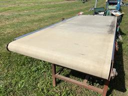 BEI TILT BELT CONVEYOR FOR BLUEBERRIES, 36'' X 8'