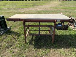 BEI TILT BELT CONVEYOR FOR BLUEBERRIES, 36'' X 8'