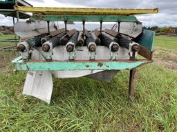 RADISH TAILER, 36'' X 36''